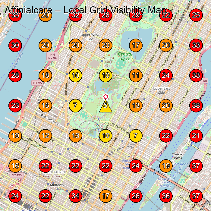 Affinialcare GeoGrid visibility map for Home Health Care Service in New York